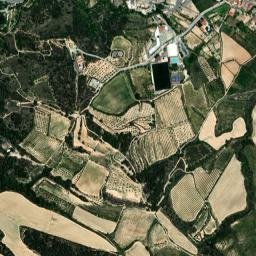 Sant Pere de Riudebitlles map(satellite map)