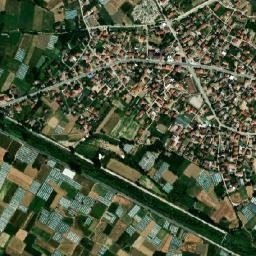 Bosilovo map(satellite map)