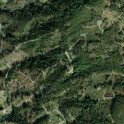 Celorico de Basto map(satellite map)