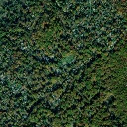 Mountain Lodge Park map(satellite map)