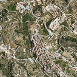 Juncosa map(satellite map)