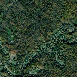 South Blooming Grove map(satellite map)