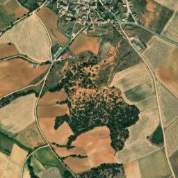Fresno de Cantespino map(satellite map)