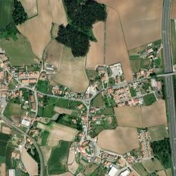 Árvore map(satellite map)