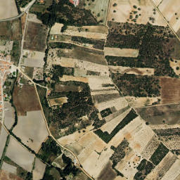 Cabañas de Sayago map(satellite map)