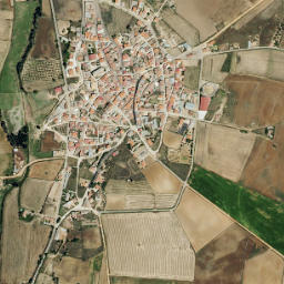 San Miguel de la Ribera map(satellite map)