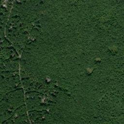 Pike County map(satellite map)