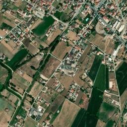 Alife map(satellite map)