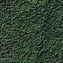 Bald Hills Road, Redwood National Park, Orick High Resolution Satellite Map