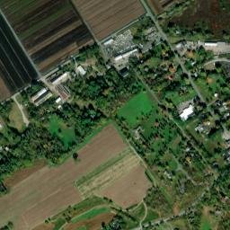 Wilcox New York High Resolution Satellite Map