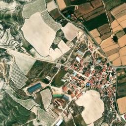 Mara map(satellite map)