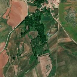 Bañuelos map(satellite map)