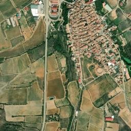 Paniza map(satellite map)