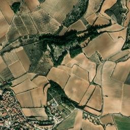 Puigpelat map(satellite map)
