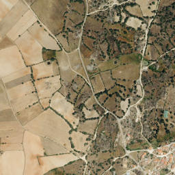 Salce map(satellite map)