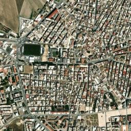 Cerignola map(satellite map)