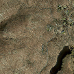 Bulsontown New York High Resolution Satellite Map