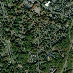 Trumbull map(satellite map)