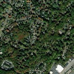 Forest Heights Connecticut High Resolution Satellite Map