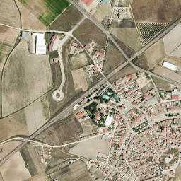 Carpio map(satellite map)