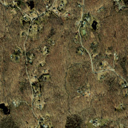 East Woods New York High Resolution Satellite Map
