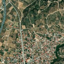 Vamvakófyto map(satellite map)