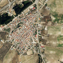 Cañizal map(satellite map)