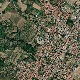 Falciano del Massico map(satellite map)