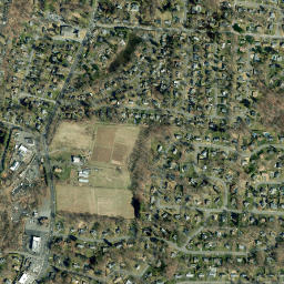 New City Park New York High Resolution Satellite Map