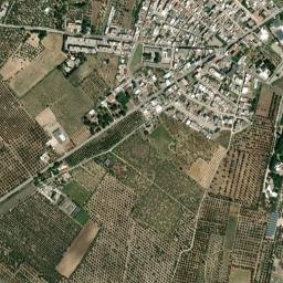 Palombaio map(satellite map)