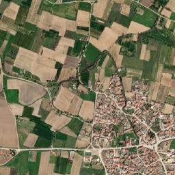 Lýkeio map(satellite map)