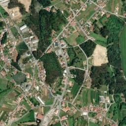 Olival map(satellite map)