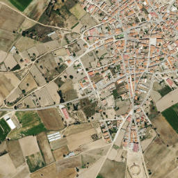 Cantalpino map(satellite map)