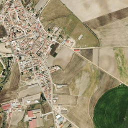Palaciosrubios map(satellite map)