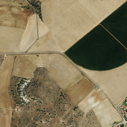 Zarapicos map(satellite map)