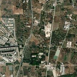 Lamie map(satellite map)