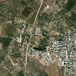 Binetto map(satellite map)
