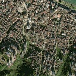 Fatsa map(satellite map)
