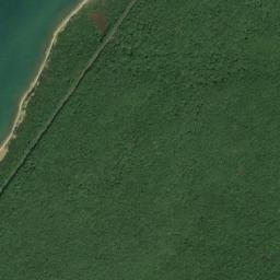 Quincetree Landing New York High Resolution Satellite Map