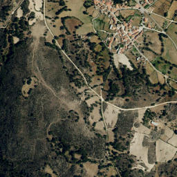 Saldeana map(satellite map)