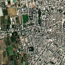 Rutigliano map(satellite map)