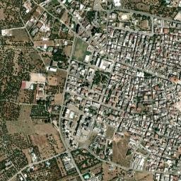 Sannicandro di Bari map(satellite map)