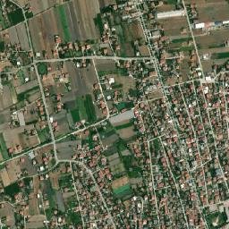 Divjakë map(satellite map)