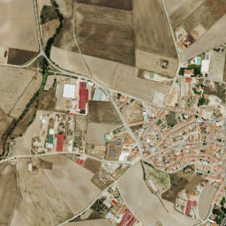 Paradinas de San Juan map(satellite map)