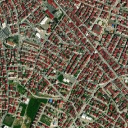 Ordu map(satellite map)