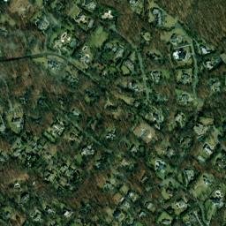 Alpine map(satellite map)