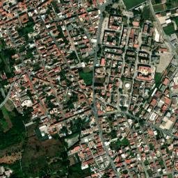 Cardito map(satellite map)