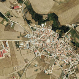 Flores de Ávila map(satellite map)