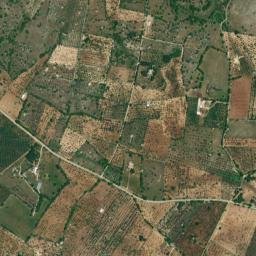 Bari map(satellite map)