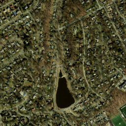 Beechmont Woods New York High Resolution Satellite Map